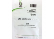 Семена корнишони Атлантис F1 - Аtlantis F1 - 250 семена - 2t