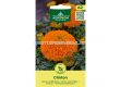 СК СЕМЕНА ТАГЕТЕС КЛИНТЪН MARIGOLD, CLINTON  - 1t