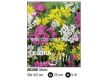 Алиум Микс - Allium Mix 4/5 - 2t