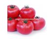 Семена Домати KS 307 F1 - Tomato KS 307 F1 - 1t