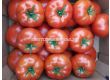 Семена домати BEEF BANG F1 ZKI - 1000 семена - 2t