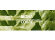 Biona Cobre - Биона Кобре - Биофунгицид+Стимулатор - 1t