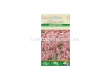 Седум Spurium - Sedum - 'SK- 0,15 г - 1t