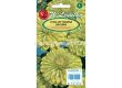 Семена Циния Envy green/ LG -1 оп - 2t