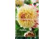 далия Anemone Flowering Bon Odori  - 2t