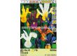 Ирис микс  /Iris Hollandica Mixed/ - Пакет: 1 оп -15 бр - 1t