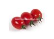 Семена Домати Червено чери KS 3640  - 2t