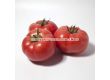 Семена домати Хонока (KS 1157) F1 - 1t
