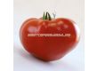 Семена домати KS 204 F1-100 семена - 1t