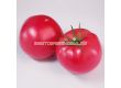 Семена Домати Финли F1 - Tomato Finly F1 (KS 1205) - 1t