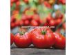 Семена домати KS 202 F1 - 100 семена - 2t