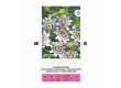 СК ПАСИФЛОРА PASIFLORA, COREULEA BLUE - 2t