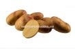 семе картофи Пикасо (Picaso) 25кг - 1t