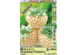 ягоди (Strawberry) White Pineberry  - 2t