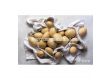 СЕМЕ КАРТОФИ PRADA / POTATOES SEEDS PRADA - КАТЕГОРИЯ A - 1t