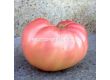 Семена домати Роял Пинк F1 - Розов -  Royal Pink F1 - 500 бр. семена - 3t