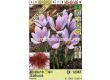 Шафран (Crocus sativus) 1 оп (10 бр) - 2t
