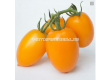 Семена Жълт домат KS 1430 - 2t