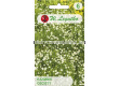 LG Семена Ирландски мъх (Sagina subulata) - 0.03г - 3t