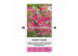 СК КЛЕОМЕ CHERRY QUEEN, CLEOME - 2t