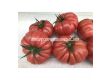 СЕМЕНА ДОМАТИ КАСАРОСА Х TOMATO CASSAROSA H - СК - 1t