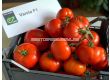 НОВО! Семена домати Варела F1 - Varela F1 - 500 бр. семена - 1t