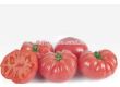 НОВО! Семена домати Вермиленза F1 - Розов - Vermilenza F1 - 500 бр. семена - 1t