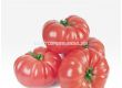НОВО! Семена домати Вермиленза F1 - Розов - Vermilenza F1 - 500 бр. семена - 2t