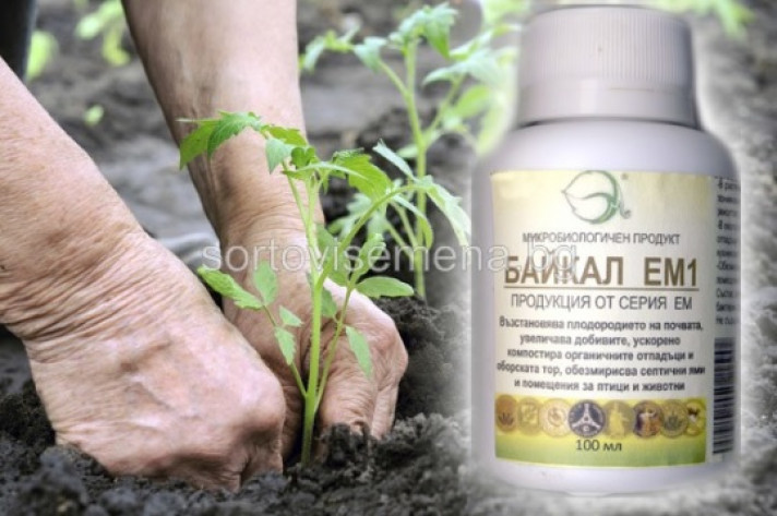 Байкал ЕМ1 - биопрепарат за подхранване на растенията