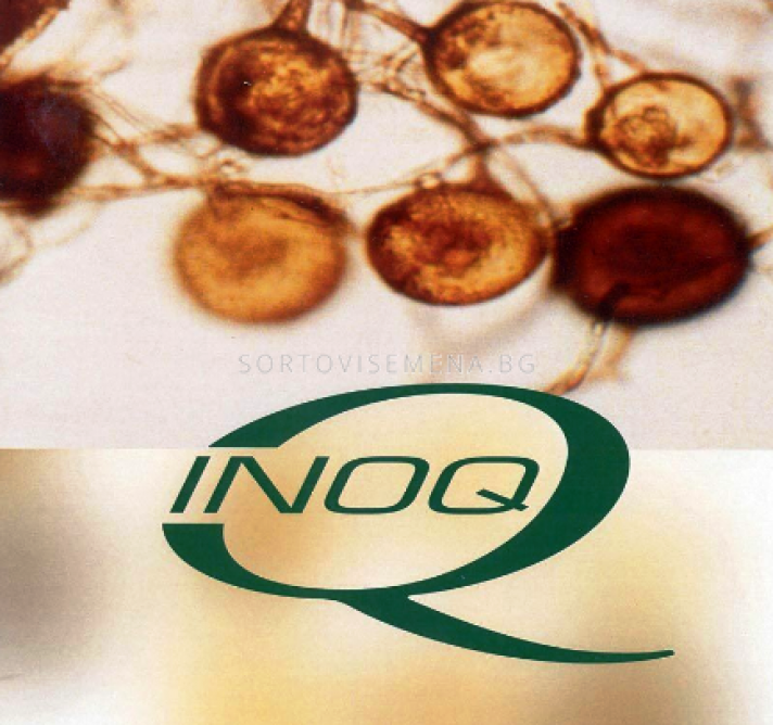 Микоризни гъби за здрави растения