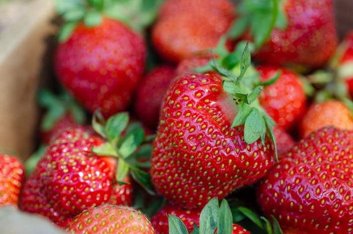 Ароматни и вкусни сортове ягоди от Аграра