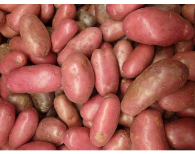 Червените картофи са изключително полезни