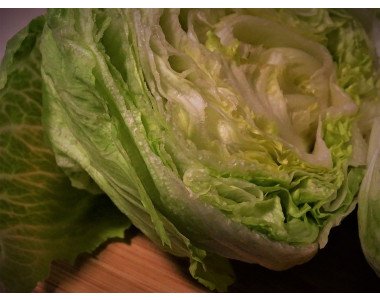 Салатата Айсберг – как да я отглеждаме?