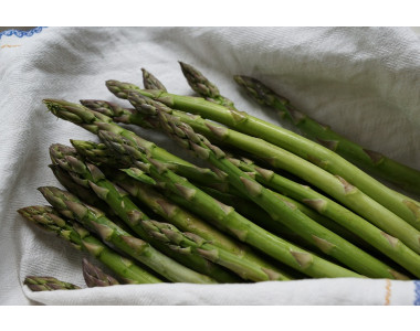 Да отгледаме аспержи – мисията възможна!