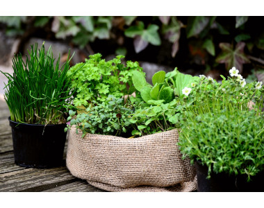 5 чести грешки при торене и как да ги избегнете