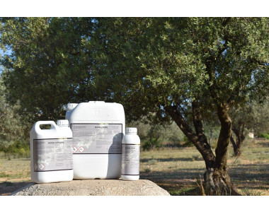 Предпазно и лечебно пръскане с биопродуктите на Биона