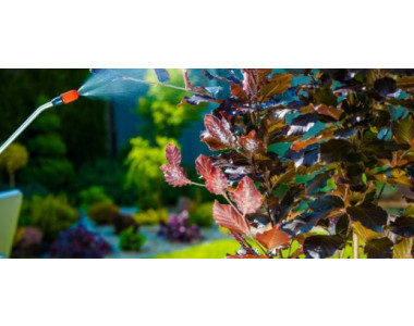 Бордолезов разтвор – за какво и как да го използваме?