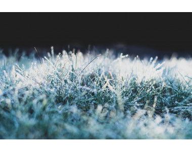 5 грешки, които да не правим с моравата през зимата!