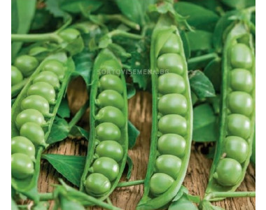 Да отгледаш... грах!