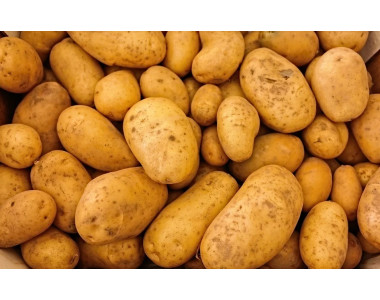 Как правилно да подхранваме картофите?