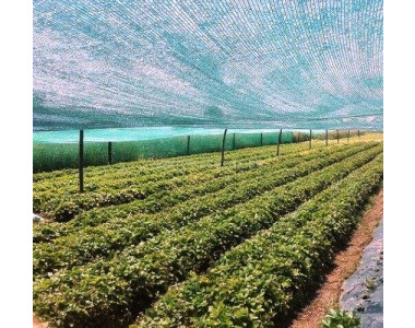 Как правилно да изберем засенчваща мрежа?