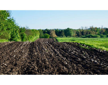 Как да получим добра реколта без да орем земята?