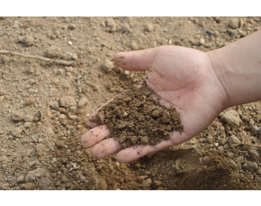 Видове обработка на почвата: всичко, което трябва да знаете