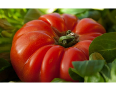 Как да отгледате месести и вкусни домати?