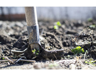 Тежка почва – какво да правим?