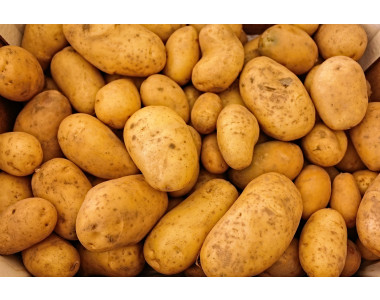 За да се радвате на богата реколта от картофи