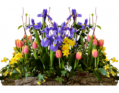 Мини пролетна градина в саксия!