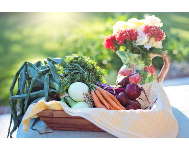 5 грешки при засяването на зеленчуци