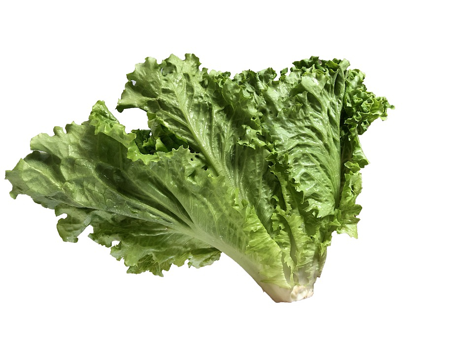 МАРУЛЯТА &ndash; ЗЕЛЕНИЯТ ДАР НА ТРАПЕЗАТА НИ!